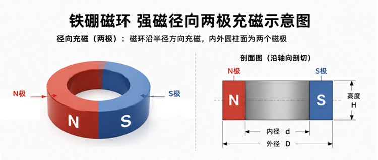 钕铁硼磁环径向充磁示意图